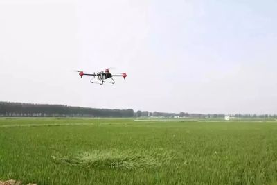 破口至齐穗期水稻病虫害统防技术详解